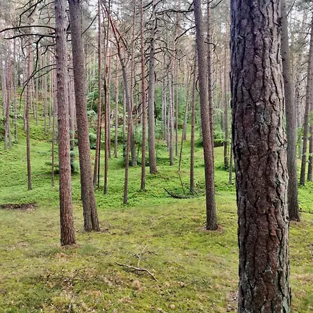 House Bursztyn - Nature, Relax & Terrace By Renters *